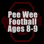 pee-wee-football-product